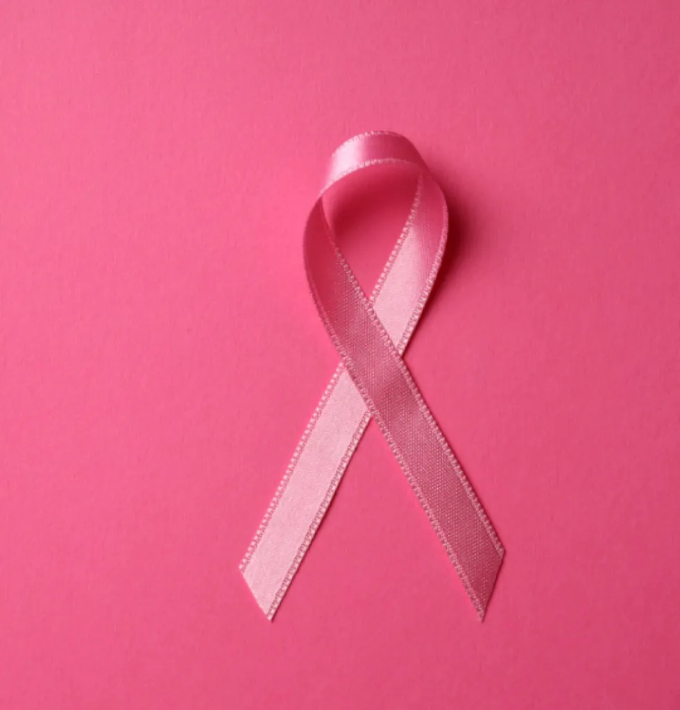 Nos prestations sur le secteur deCannes proche de Mougins