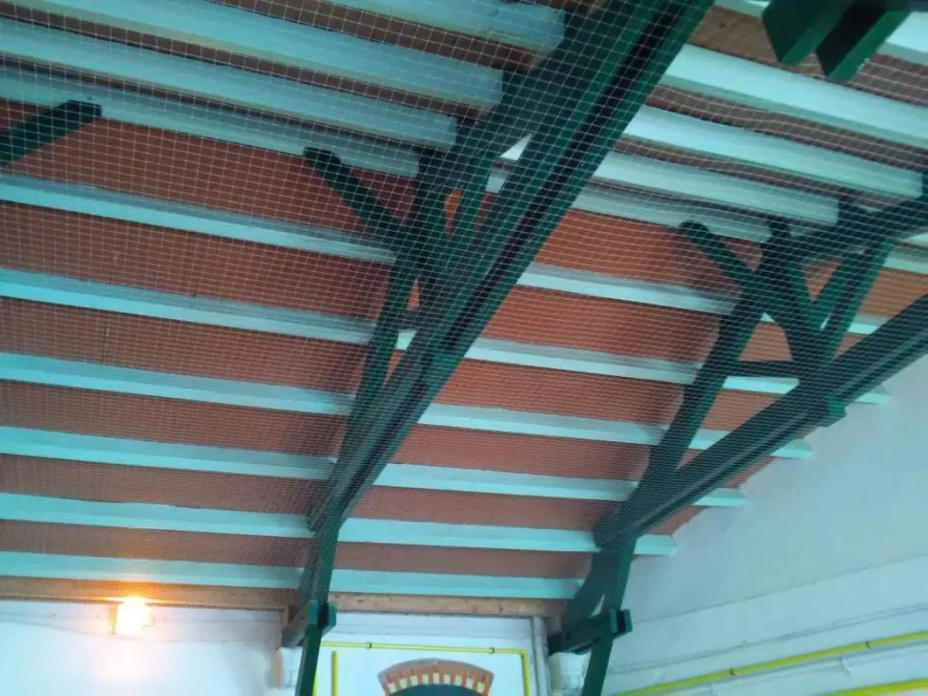 filet contre les pigeons école salon 