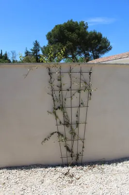 Aménagement d'un jardin contemporain sur Les Angles