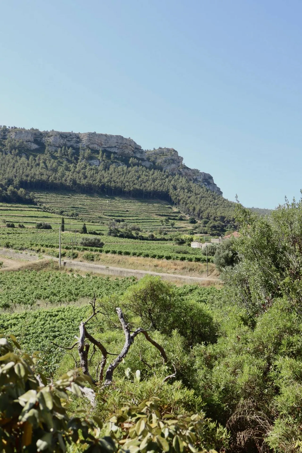 Vente villa Cassis Cap Canaille
