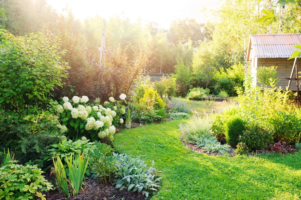 Bienvenue chez DM Paysages, jardiniers paysagistes depuis 2006 en Seine-et-Marne