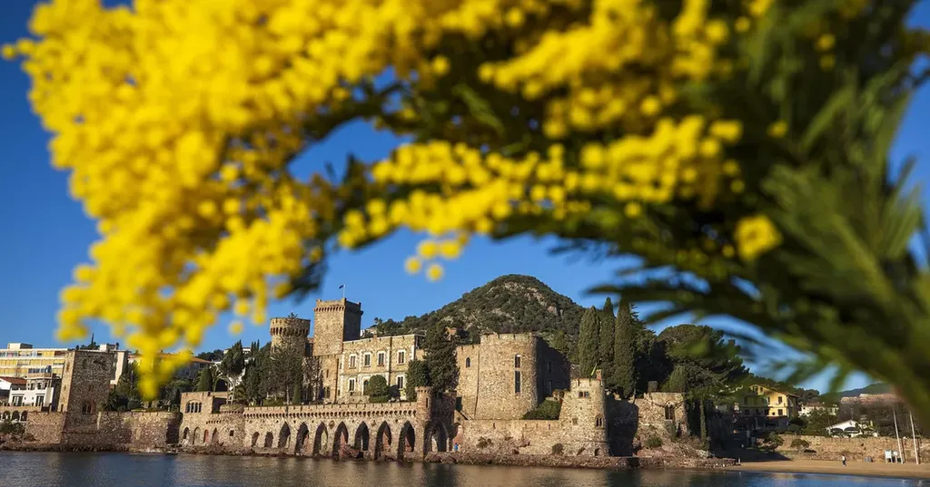 Journée découverte à Mandelieu-la-Napoule : visite guidée du Château, déjeuner gourmand en centre-ville et après-midi festif au grand Corso Fleuri de la Fête du Mimosa