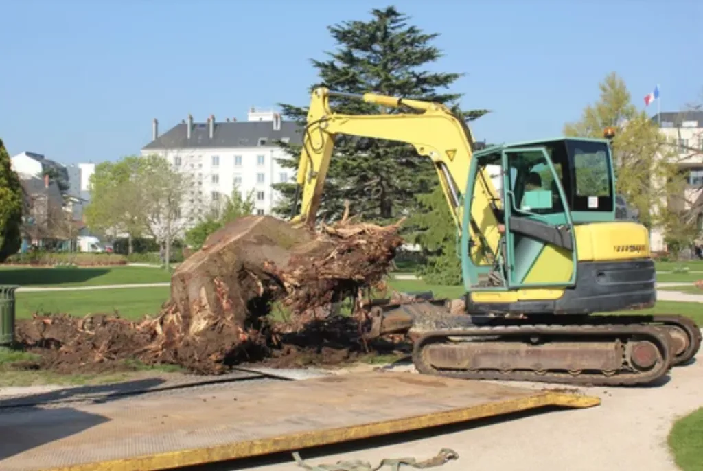 Entreprise pour enlever une souche d'arbre à Avignon dans le Vaucluse