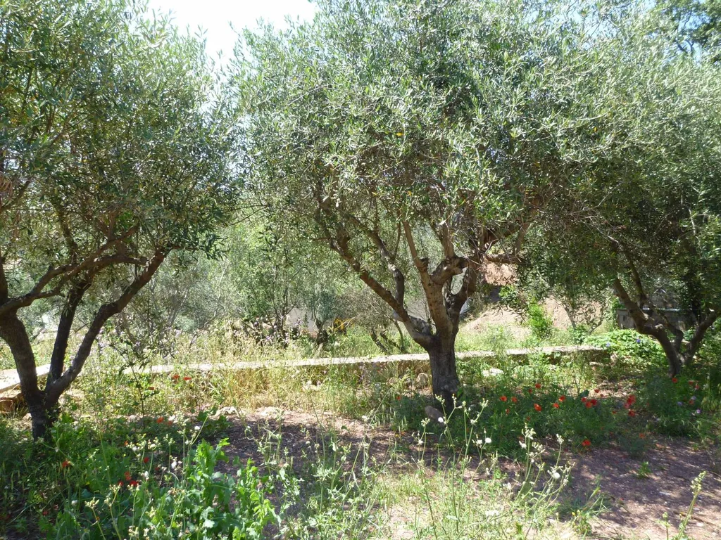 VENDU! Terrain de 724 m² à LA GARDE (FT107)