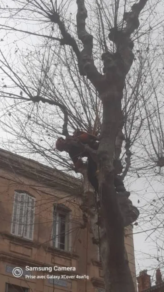Notre zone d'activité pour ce serviceElagueur à Saint Cannat près de Puyricard 