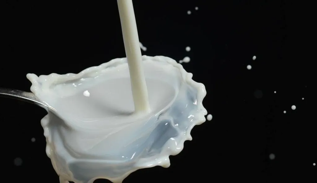 Lait BIO et produits laitiers BIO pour commerces et restaurateurs Paris