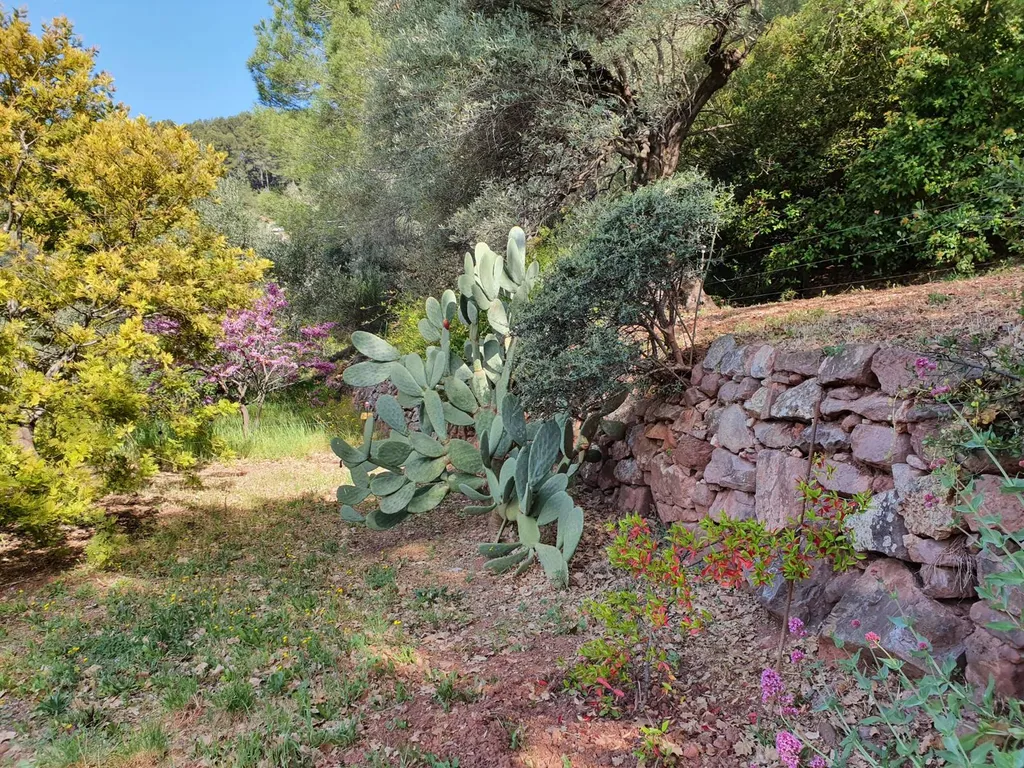 Terrain en restanques à construire
