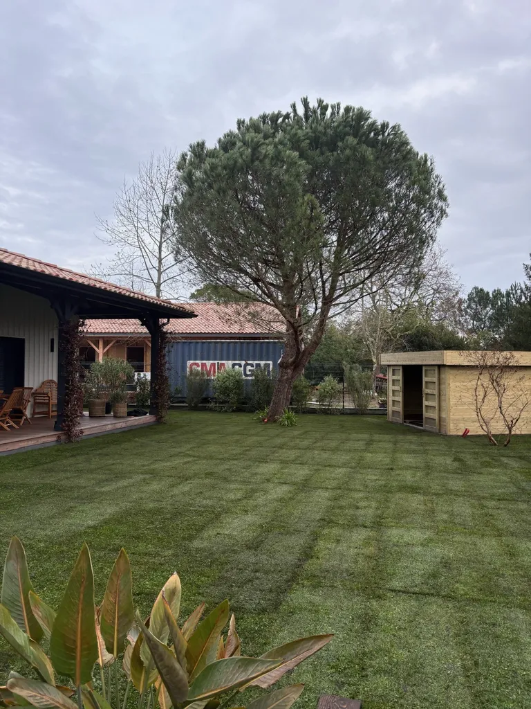 Création de gazon écologique micro-trèfle en rouleaux à Gastes, Biscarrosse et Parentis-en-Born