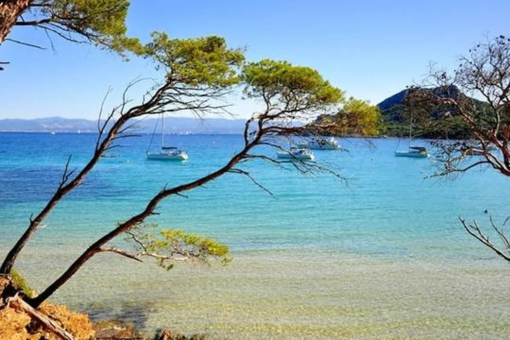 location de bateau avec skipper