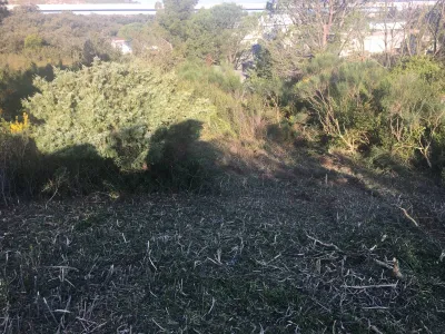 Débroussaillage à Angles vers Avignon, pour la mise en sécurité de la commune