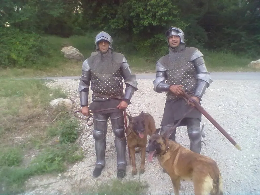 Photos tournage de films avec les chiens de l'élevage du Palais des Papes à Avignon