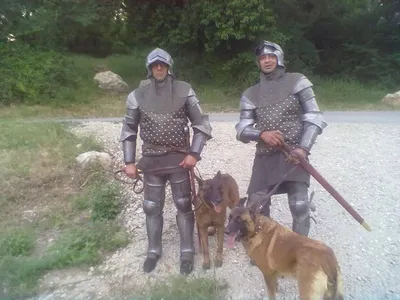 Photos tournage de films avec les chiens de l'élevage du Palais des Papes à Avignon
