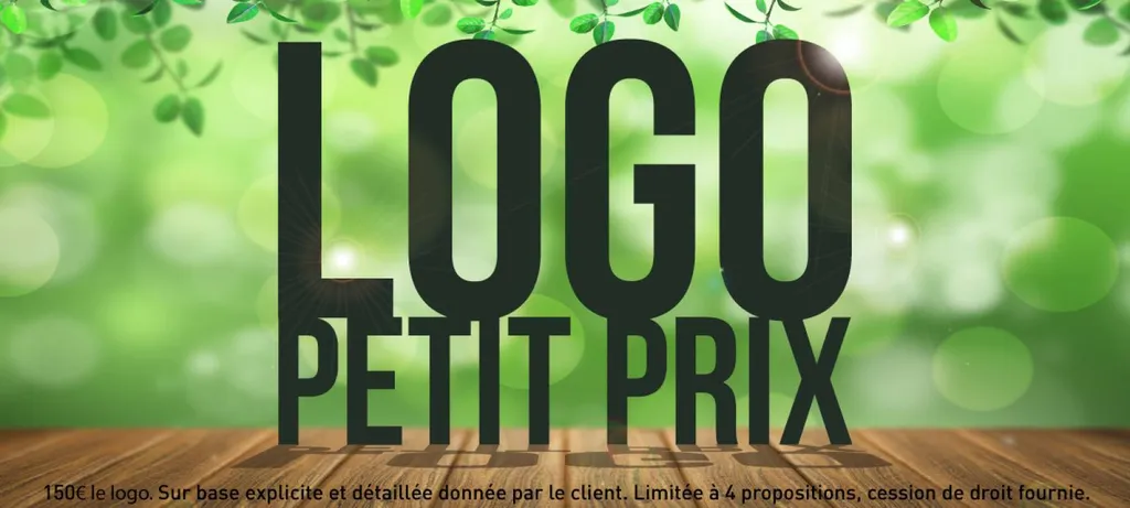 graphiste marseille Jessica BOU logo pas cher 