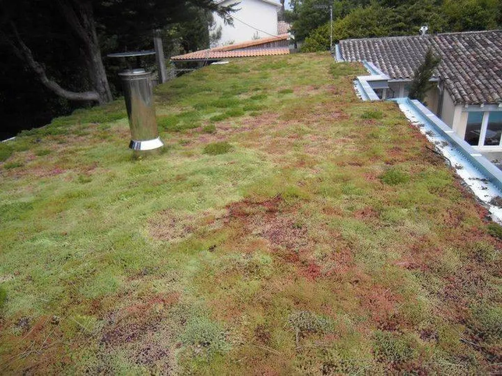 Créer une toiture végétale dans ma résidence à Sainte-Eulalie-en-Born