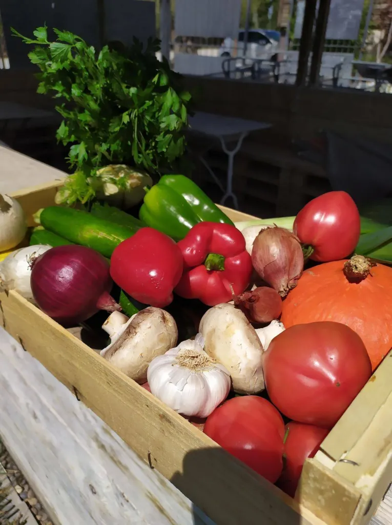 Panier de fruits et légumes Bio à Aix en Provence