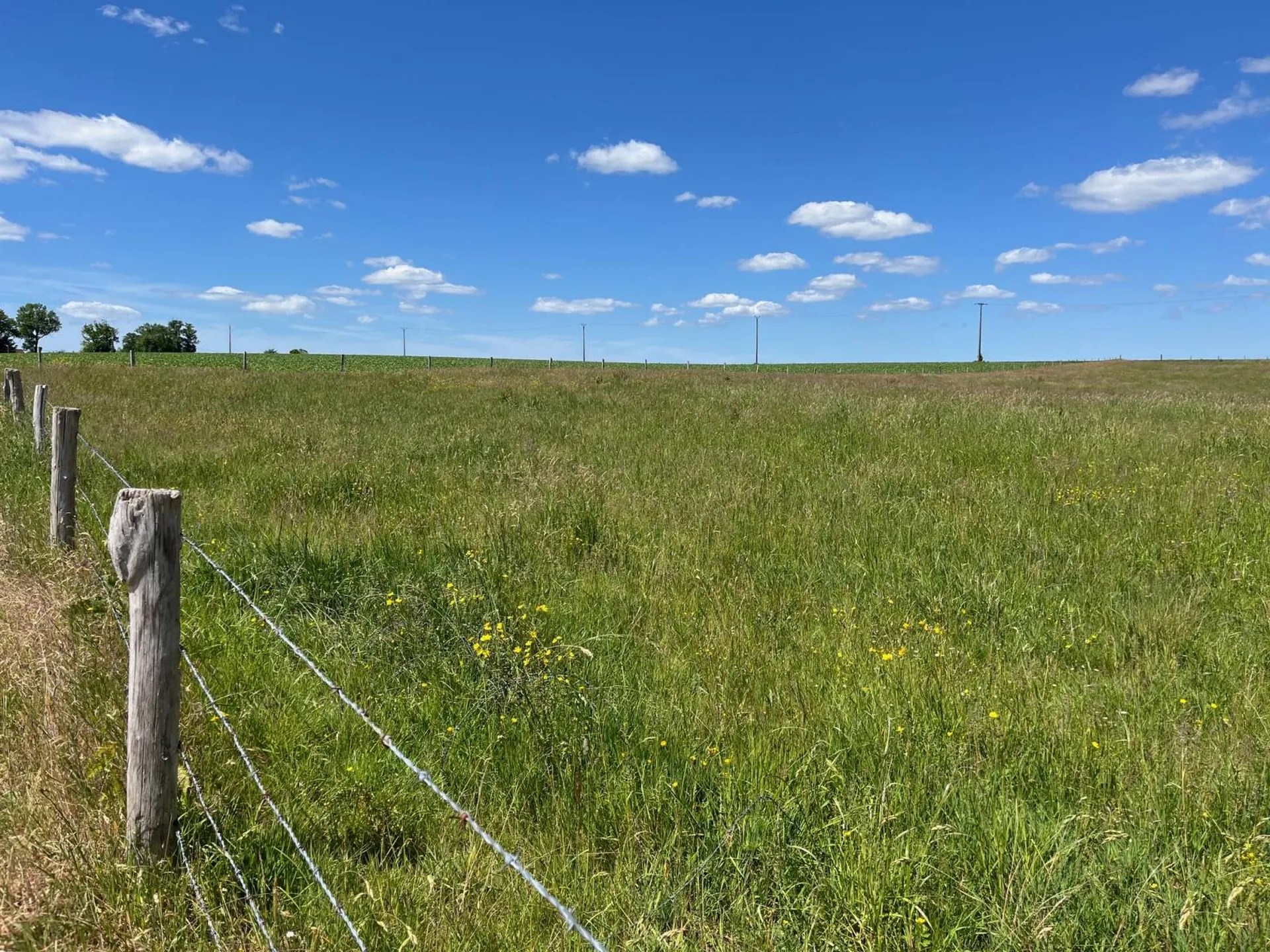 A vendre, terrain à bâtir, situé à Triquerville - Axe Caudebec en Caux / Lillebonne