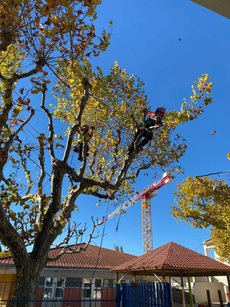 Nos prestations sur le secteur deà Aix-en-Provence proche Éguilles