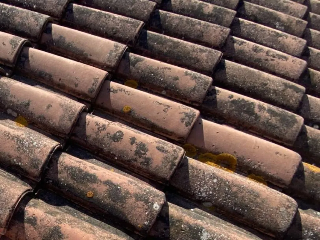 tuiles avant intervervention nettoyage sur venelles