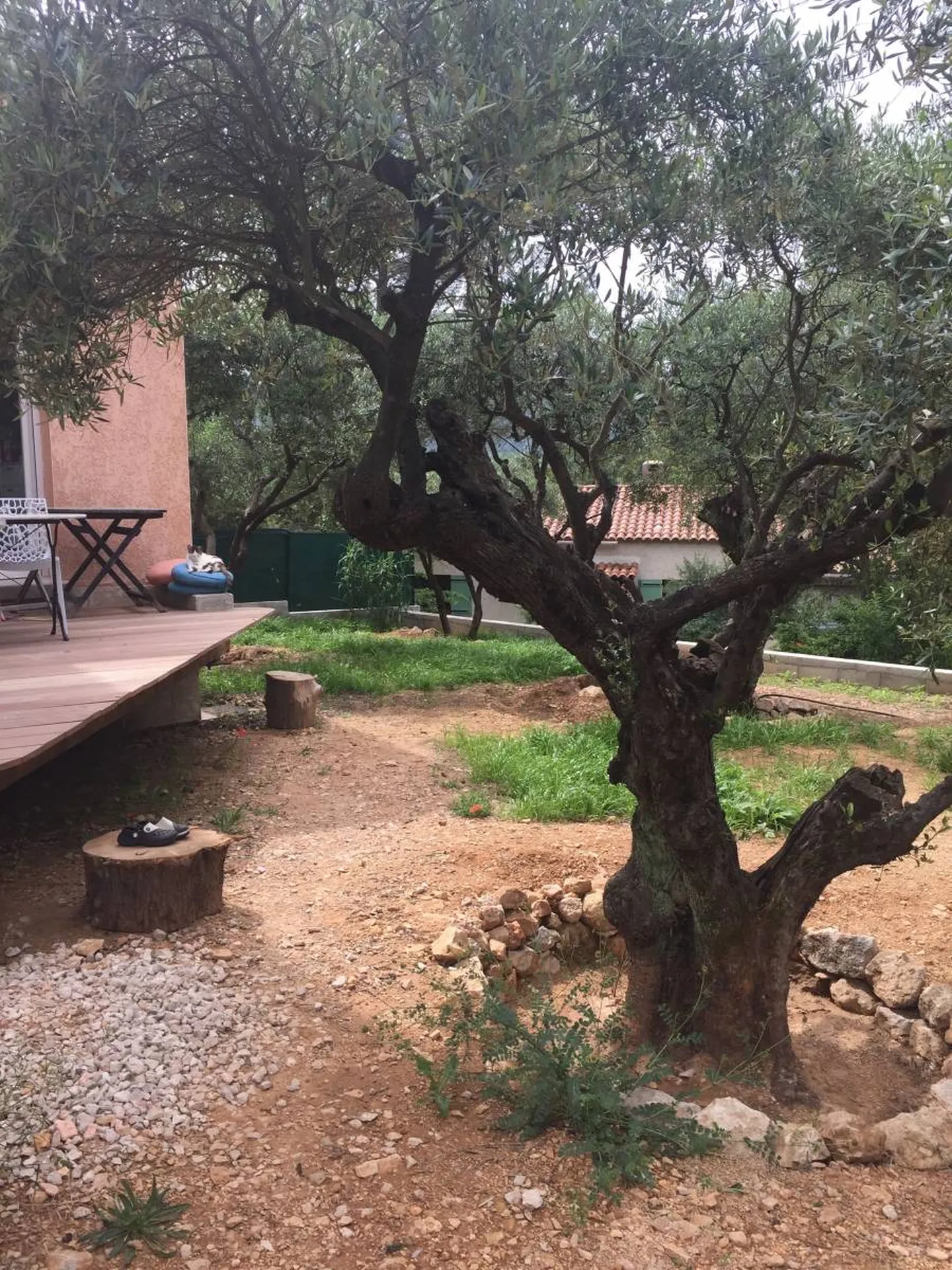 Aménagement extérieur sur Aix-en-Provence, jardin avec piscine avec un architecte paysagiste