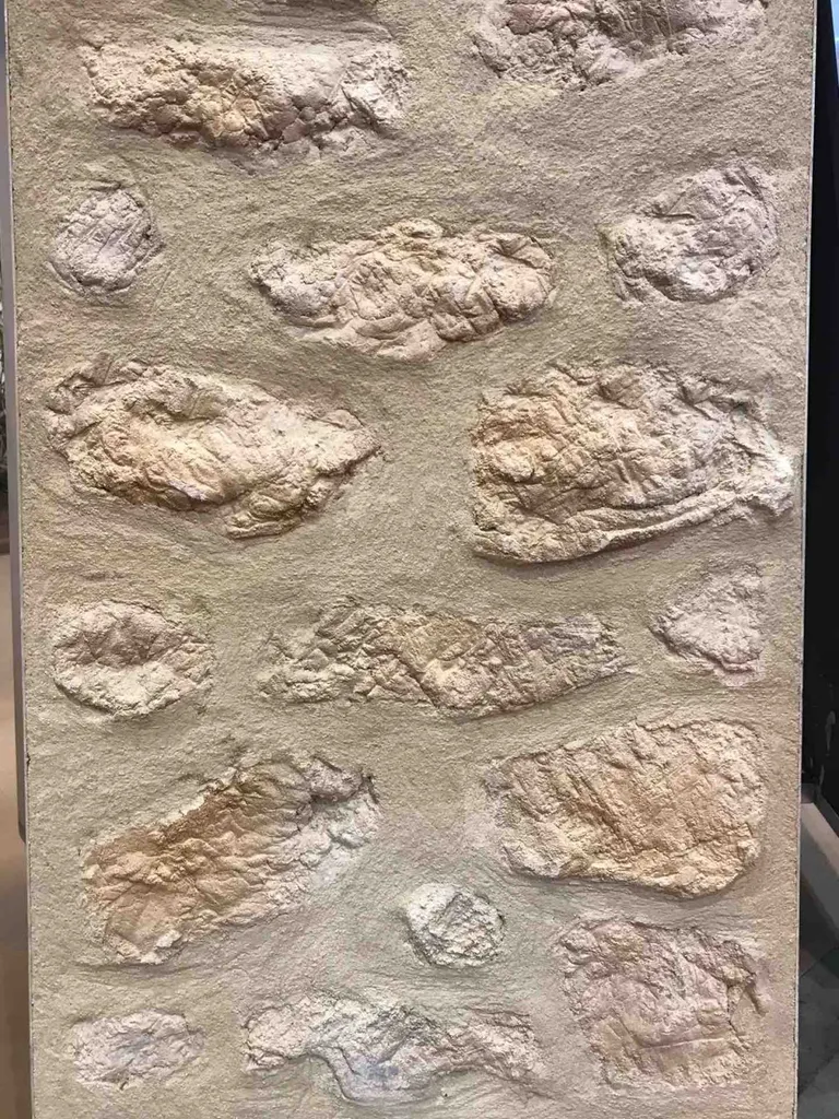 pierre taillée , pierre bi-couche , pierre rejointée , pierres à vue, torchis gratté à l’ancienne, mur catalan en intérieur en extérieur sur du neuf ou en rénovation dans toute l'Occitanie