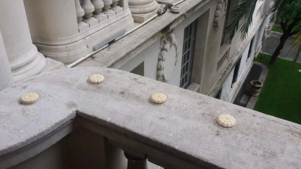 gel contre les pigeons aix en provence