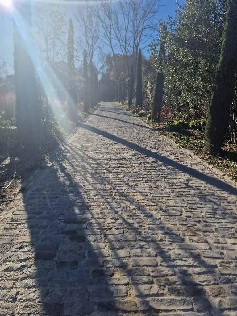 Pavé écurie Via Domitia