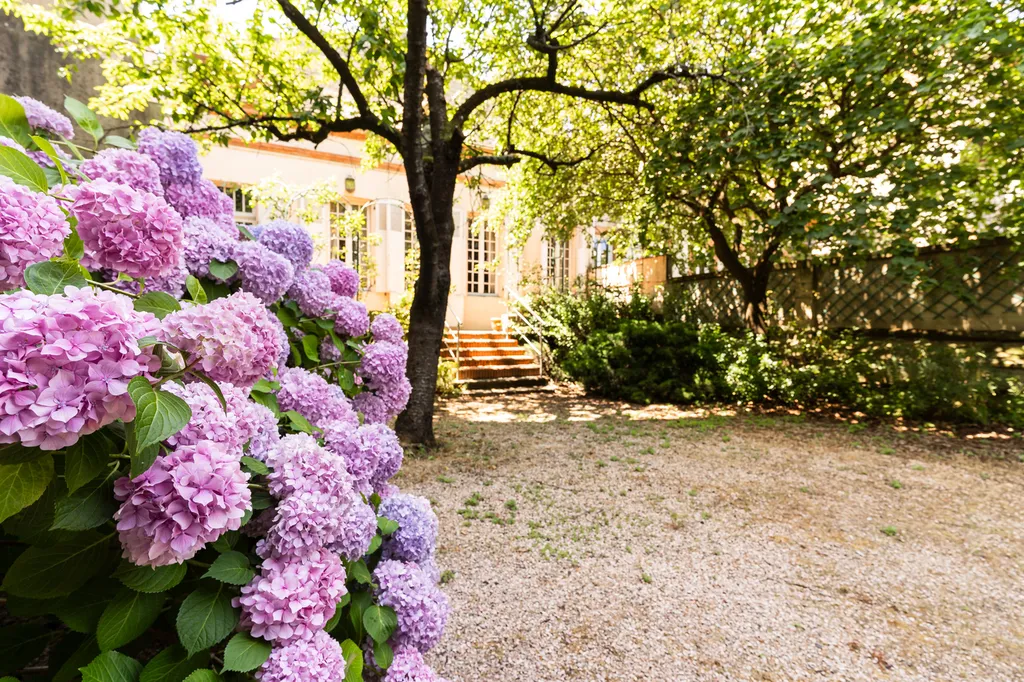 A vendre, maison bourgeoise 8 pièces 300 m2, quartier des Chalets, garage, T2 indépendant, jardin, cour intérieure,