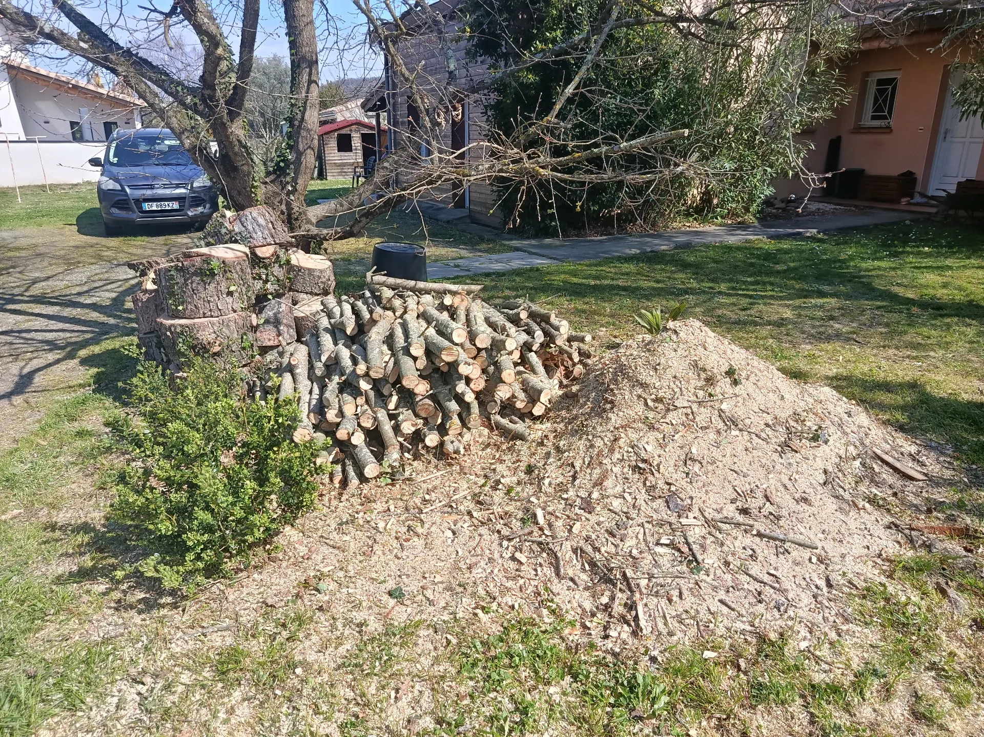 Abattage par démontage d'un pin mort sur pied sur Muret proche de Seysses, par les jardiniers paysagistes MAT'TAILLE