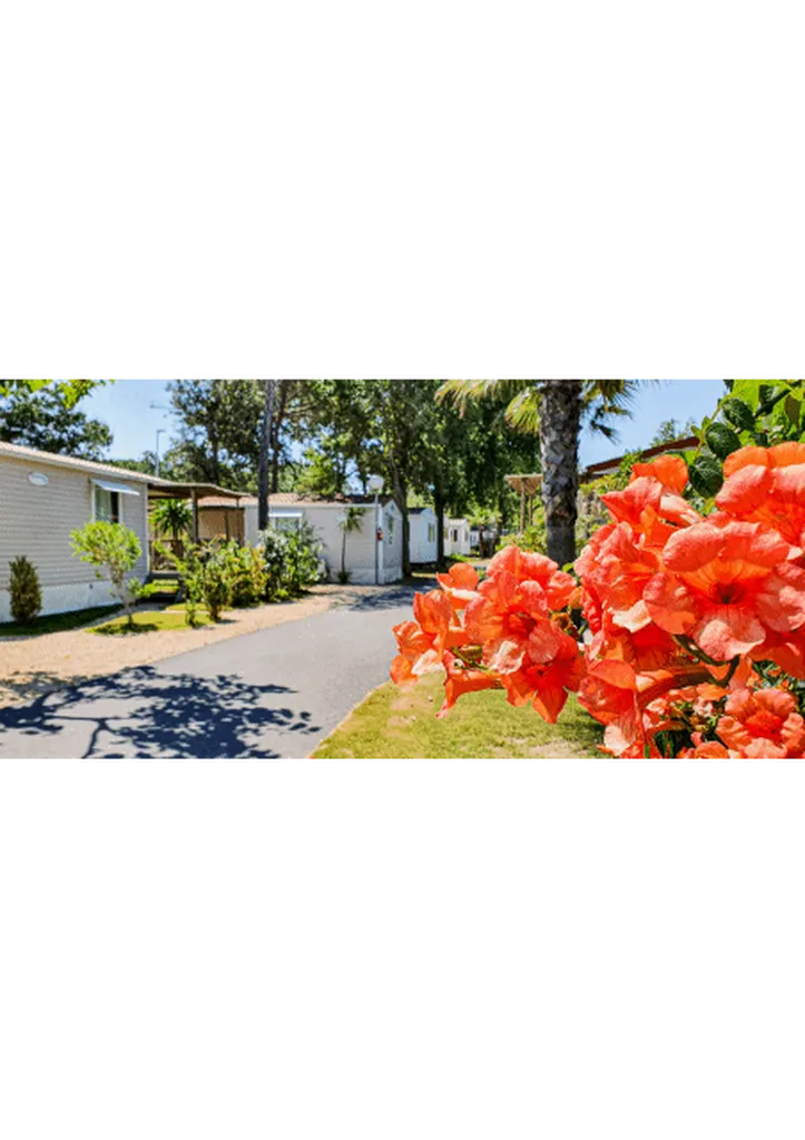 Location de mobil home pour les ponts de mai bord de plage à Vias