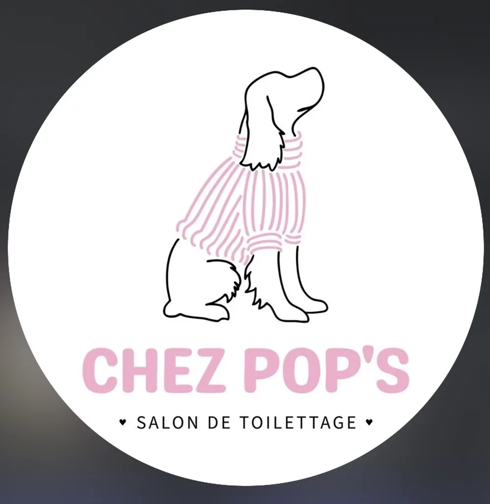 Toilettage canin Toulouse