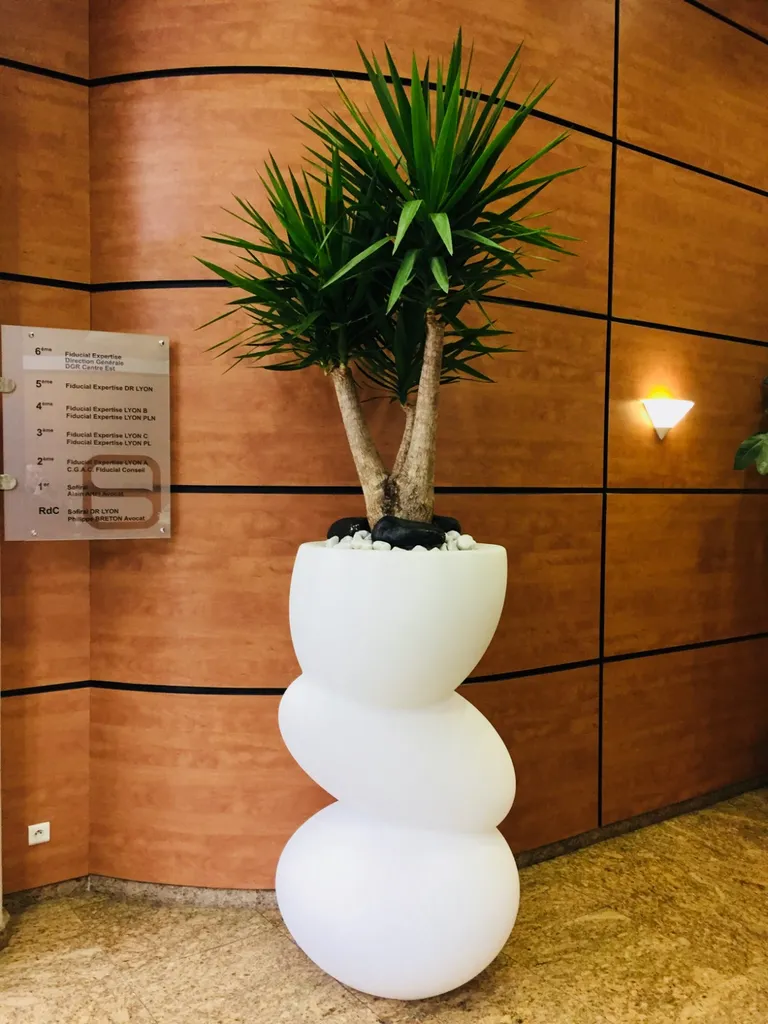 Plantes originale et moderne Lyon