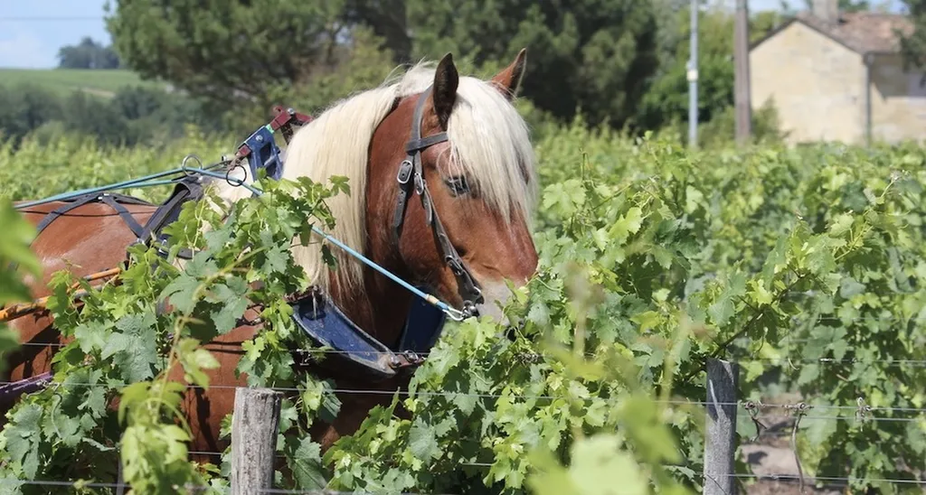 Détour par le Sud : L’Accord Parfait vous invite à sa dégustation de Juillet pour découvrir des vins, des fromages et des spécialités locales