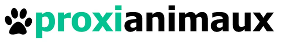 annuaire profesionnels 