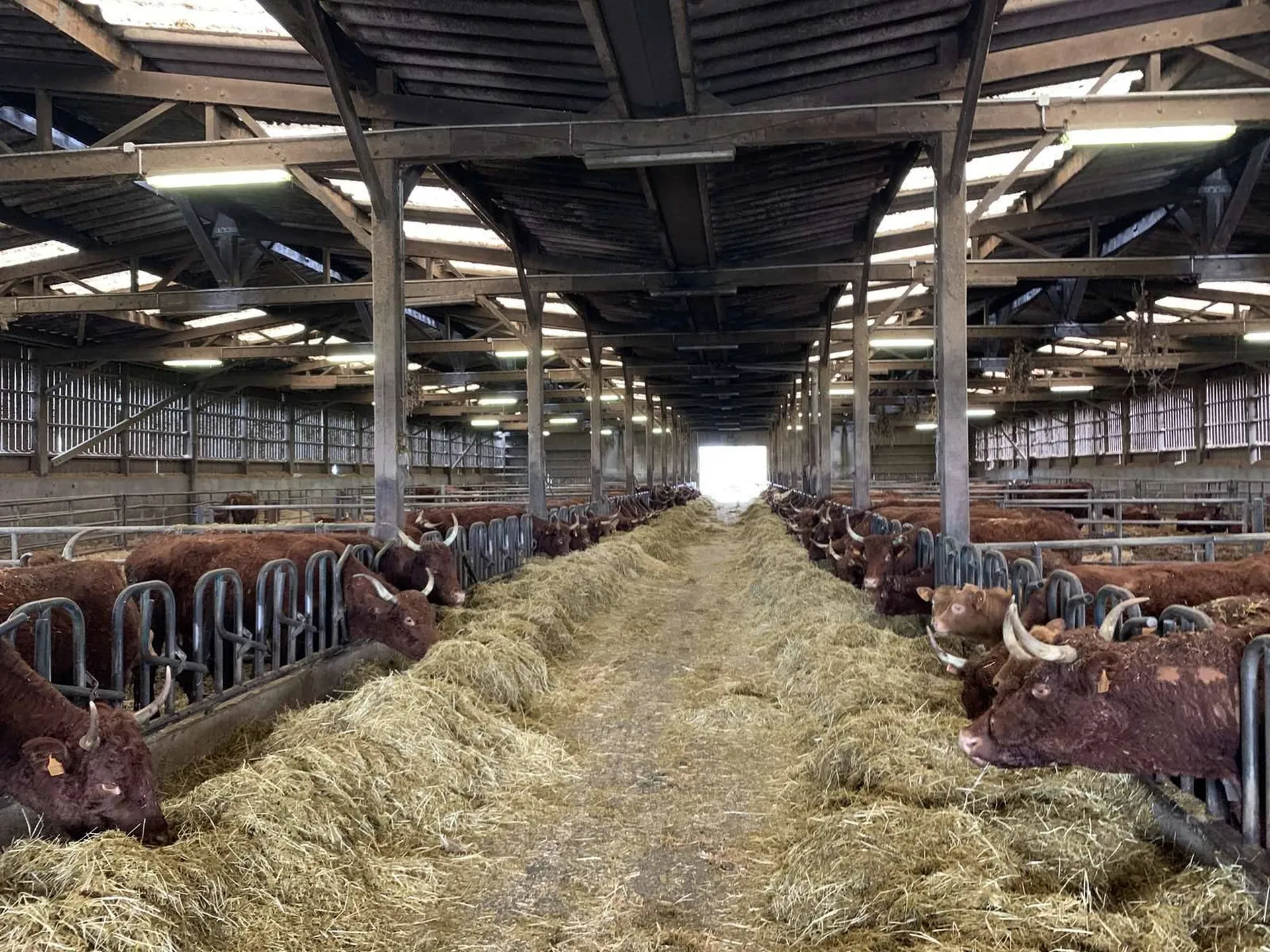 Vente d'un Domaine Agricole avec 167 hectares d'un seul tenant dans la région de Livarot 14140