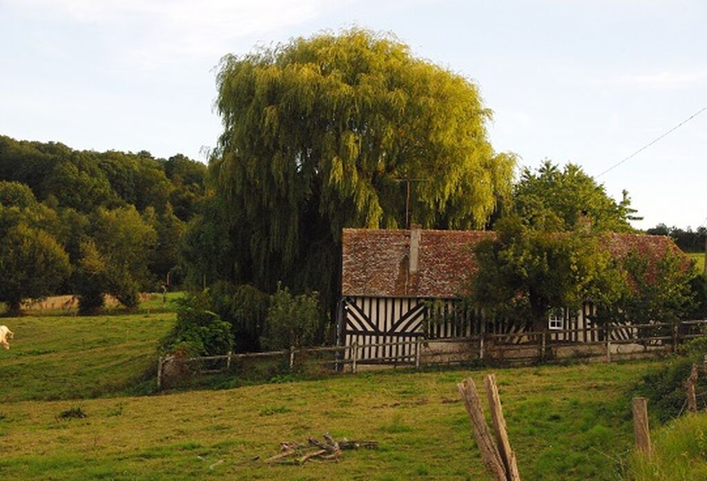 A vendre maison Normandie Calvados 14