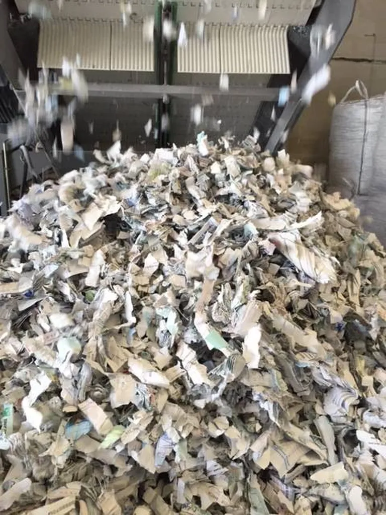 La collecte et le recyclage des papiers et cartons Toulouse Bordeaux