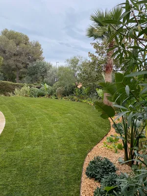 Jardin avec gazon et massifs arbustifs à Monaco