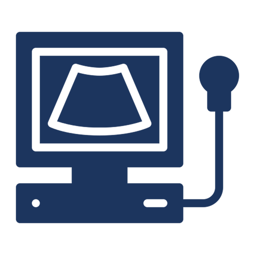 Imagerie vétérinaire à Marseille Joliette pour un diagnostic précis et un suivi médical fiable pour votre animal de compagnie