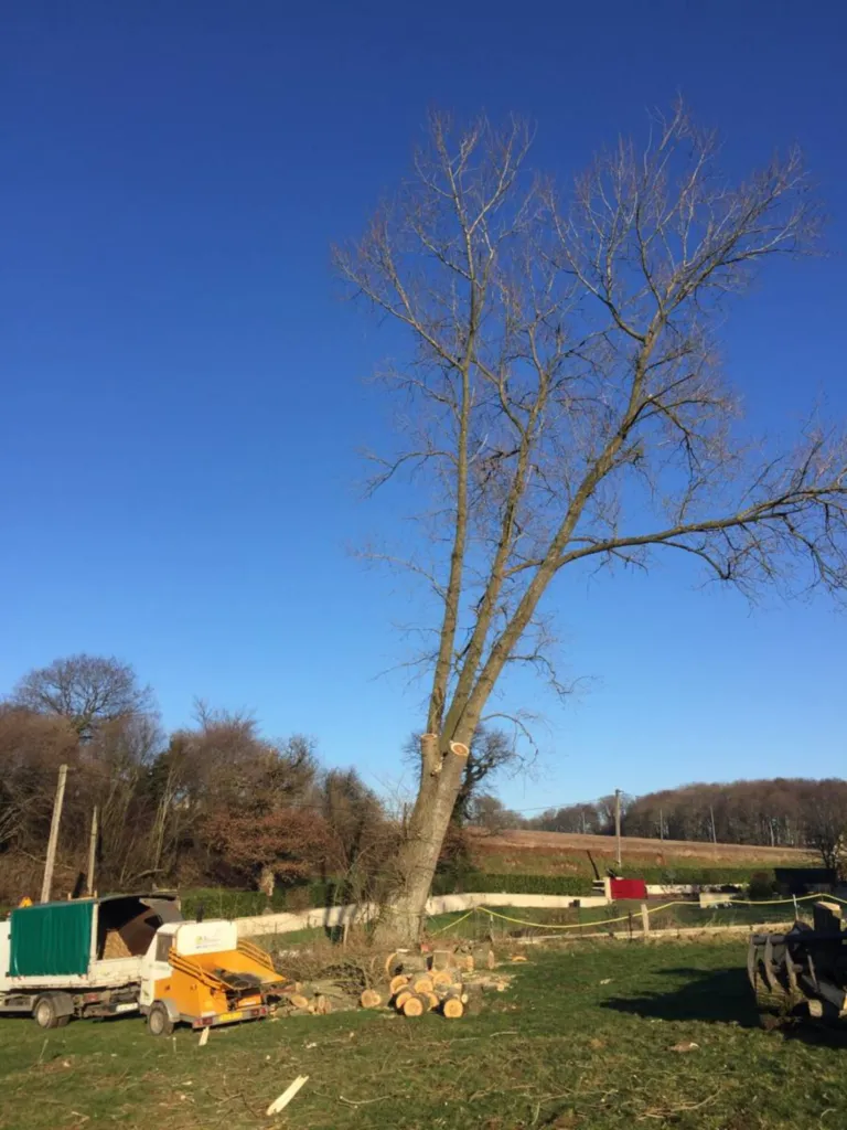 abattage en demontage region saint romain de colbocs