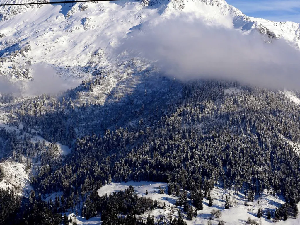 Livraison expresse d’une palette au départ de Cholet pour Albertville