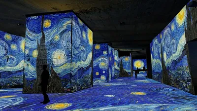 Journée d’évasion aux Baux de Provence : immersion artistique aux Carrières de Lumières, déjeuner provençal authentique et découverte du village médiéval