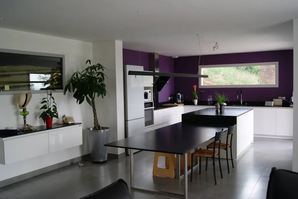 Cuisine îlot lyon
