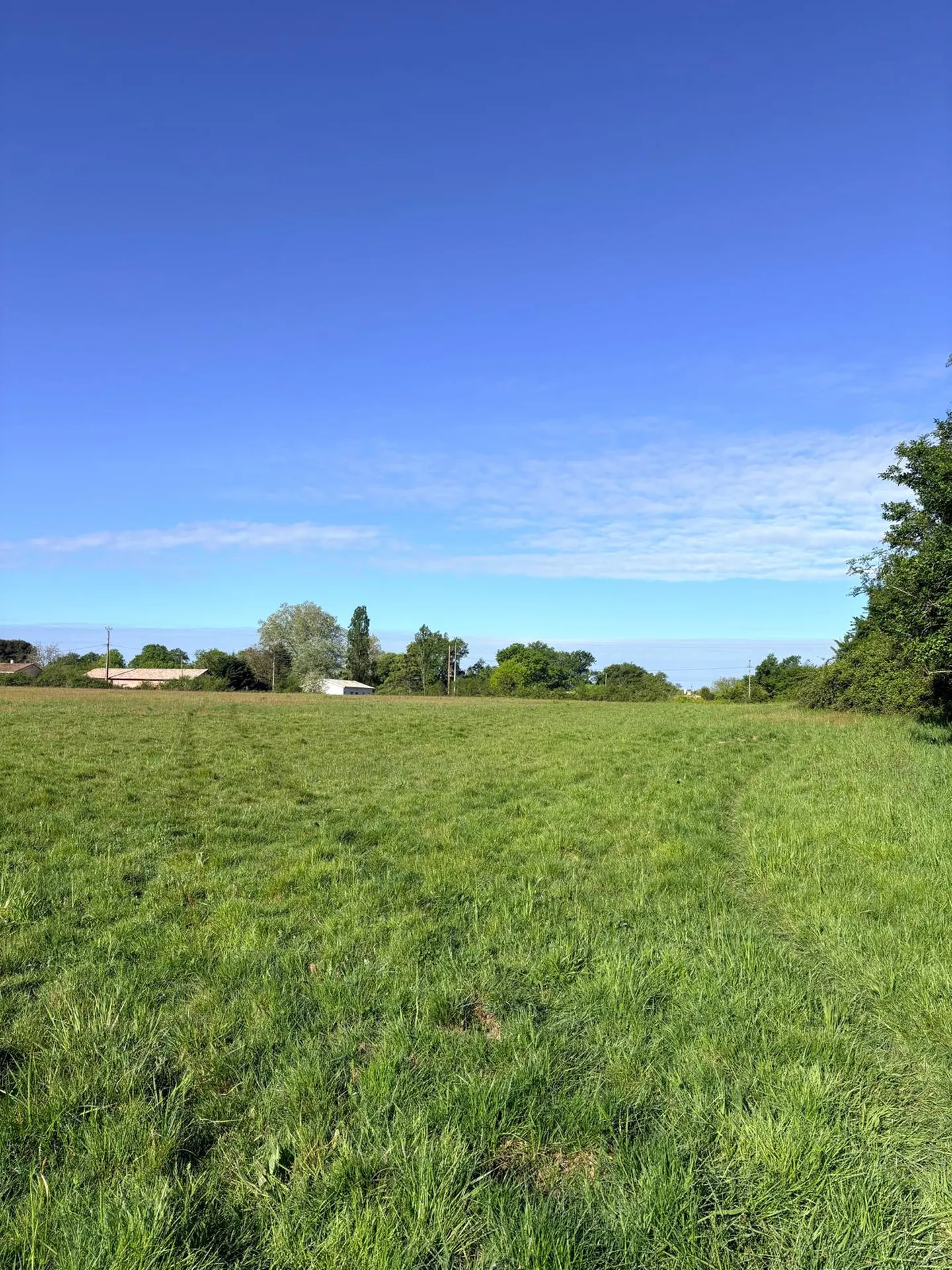 Projet de construction rive droite 