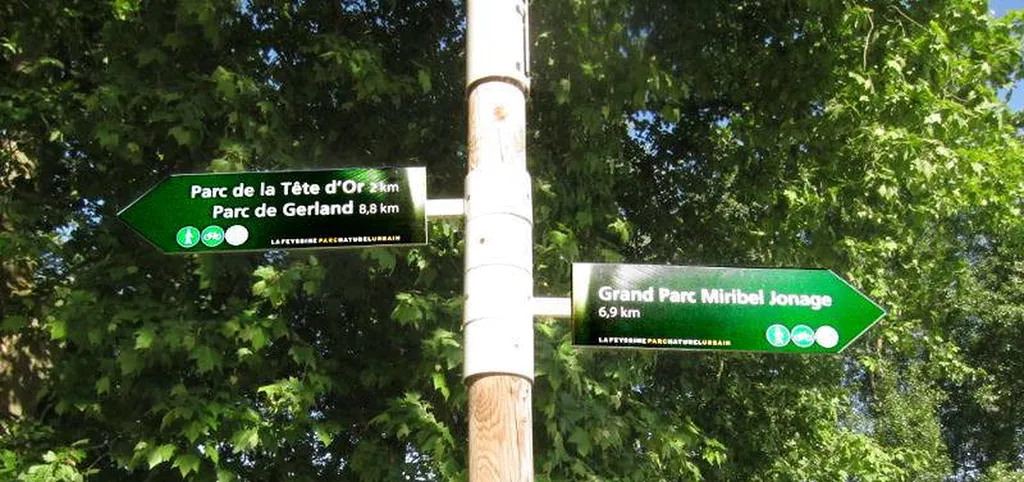 Location de vélo pour une balade à Lyon sur les quais du Rhône