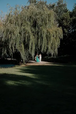 Lieu mariage aix en provence photo Sabri Aydi