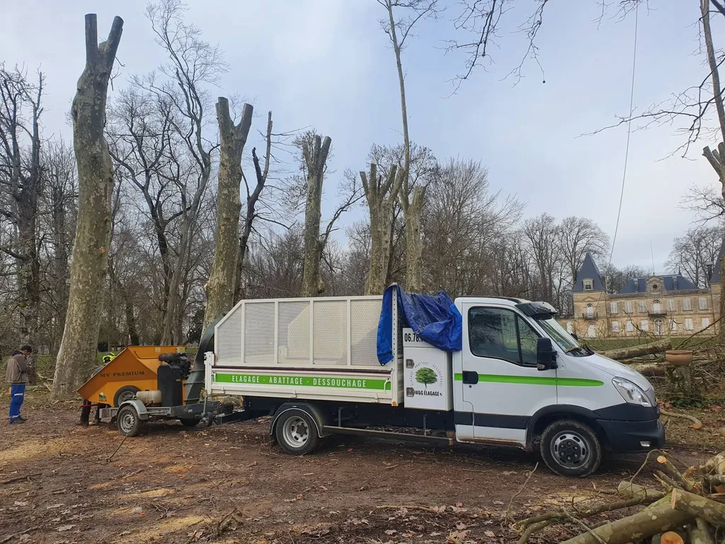 élagueur à Bordeaux, Entreprise d'élagage qualifié pour vos travaux d'élagage
