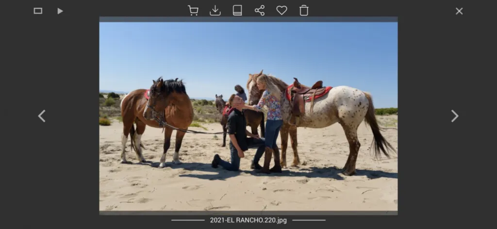 Randonnée à cheval privatisée au Grau du Roi