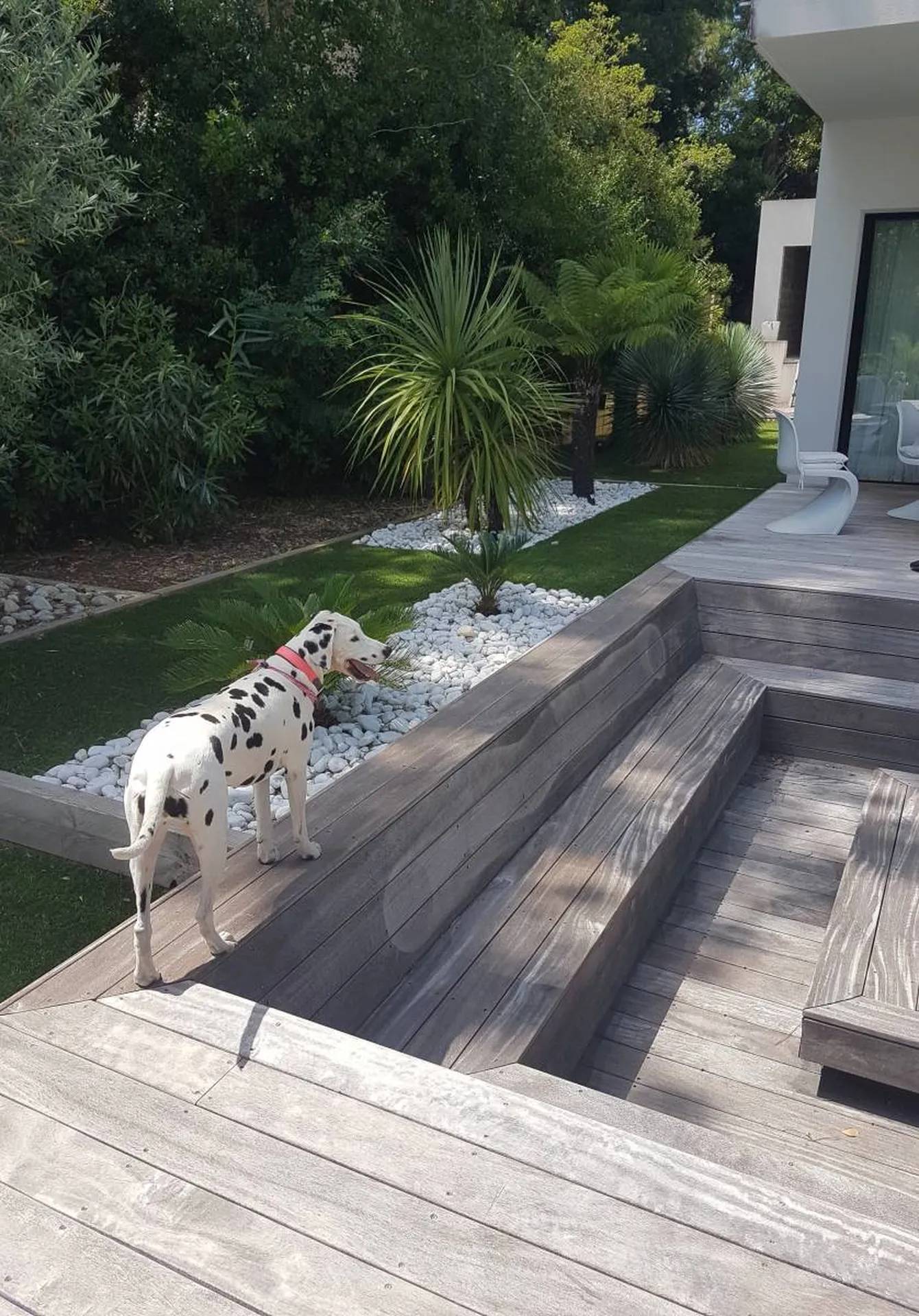 comportementaliste canin sur Le barp et ailleurs en Gironde