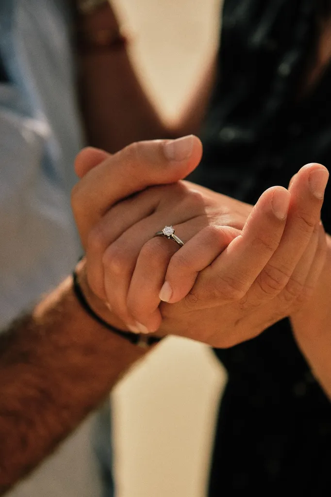 Demande en mariage - Les Mariages de Mademoiselle L - Sandra Lexow