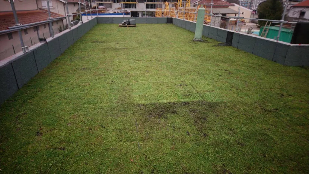 Toiture-terrasse végétalisée